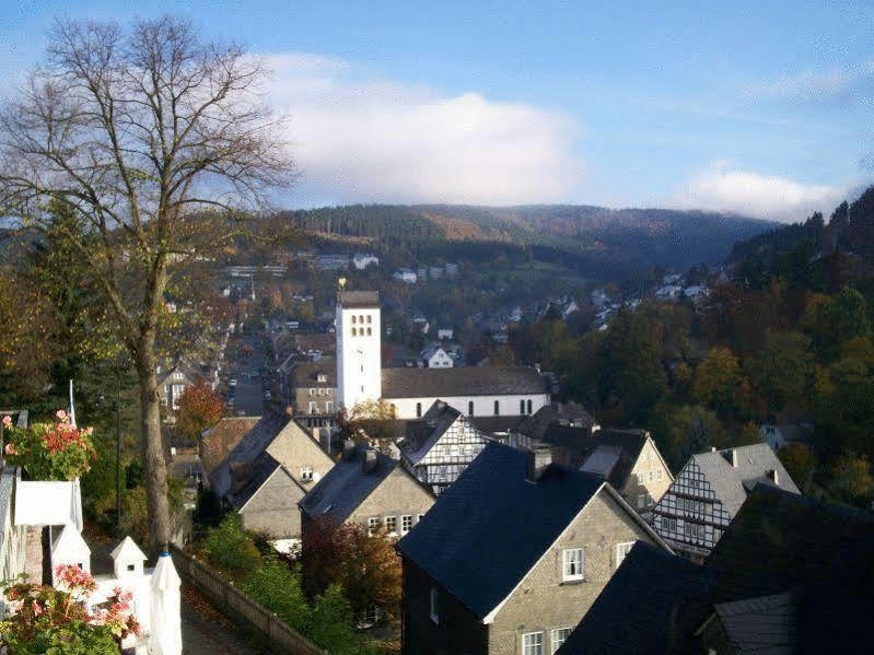 Отель Zur Fredeburg Шмалленберг Экстерьер фото